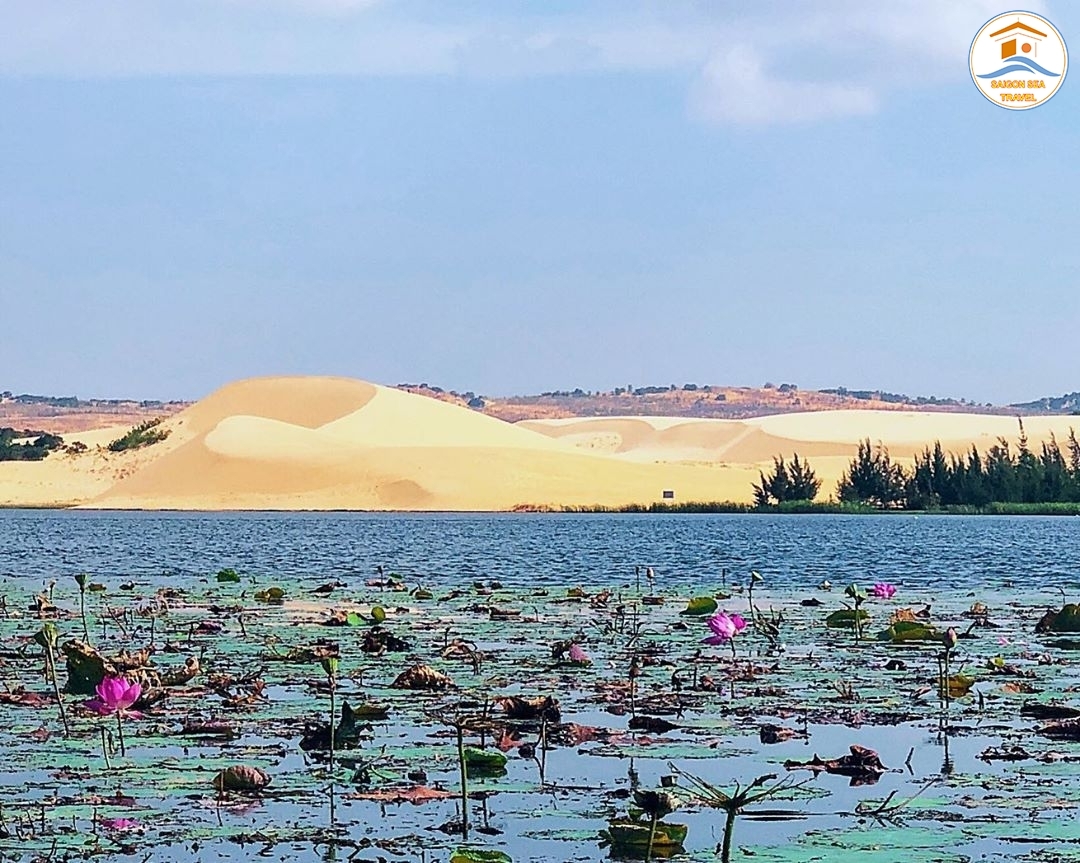 TP. HỒ CHÍ MINH - HÒN RƠM PHAN THIẾT