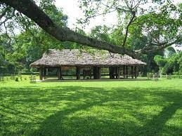 TP. HỒ CHÍ MINH - PHÚ THỌ - TUYÊN QUANG - HÀ GIANG - CAO BẰNG - LẠNG SƠN