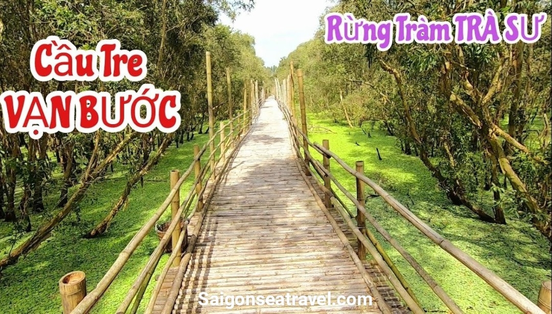 TP. HỒ CHÍ MINH - RỪNG TRÀM TRÀ SƯ AN GIANG - MÙA NƯỚC NỔI VÀM NAO