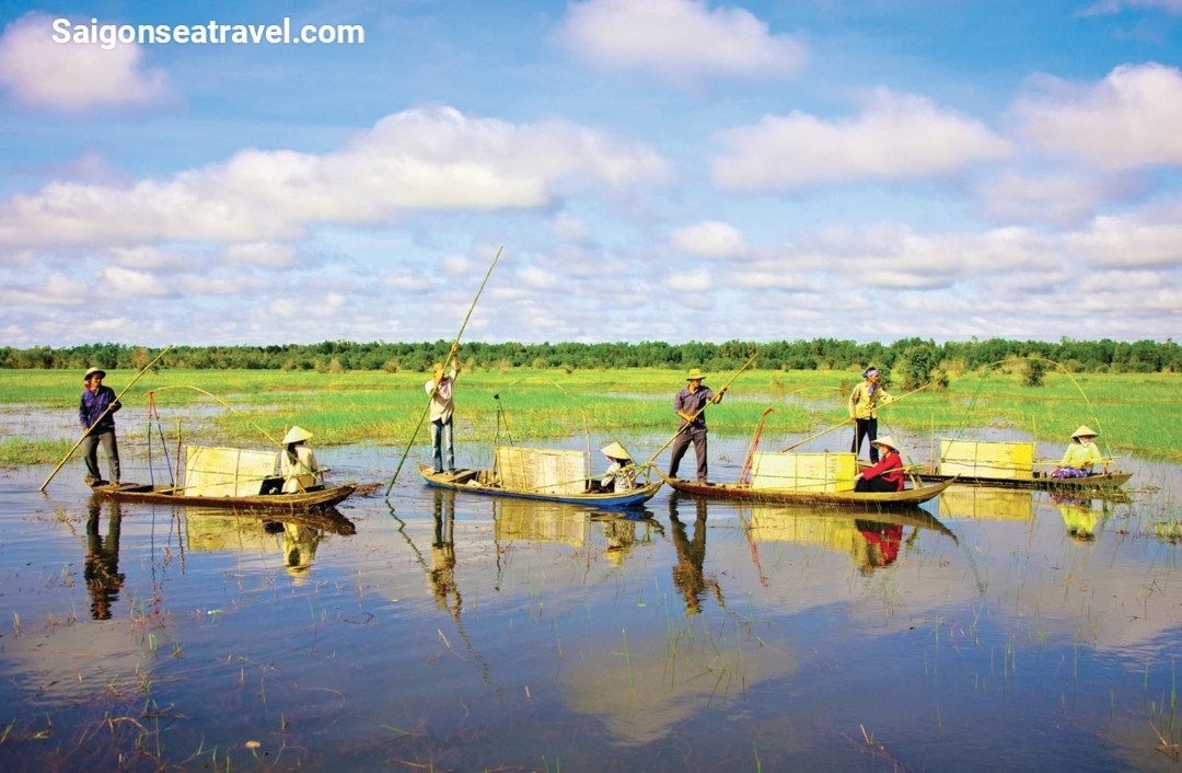 TP. HỒ CHÍ MINH - RỪNG TRÀM TRÀ SƯ AN GIANG - MÙA NƯỚC NỔI VÀM NAO